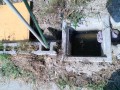 IMG_20260723_091055