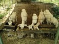 IMG_20260723_091519
