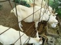 IMG_20260723_091539