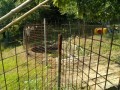 IMG_20260723_091629