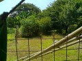 IMG_20260723_091632