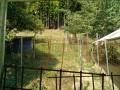 IMG_20260723_091643