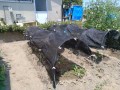 IMG_20260723_120414