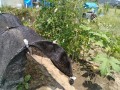 IMG_20260723_120421
