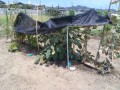 IMG_20260723_120442