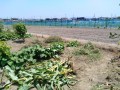 IMG_20260723_120451