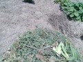 IMG_20260723_120452