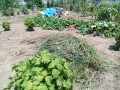 IMG_20260723_120459