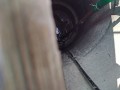 IMG_20260724_090638