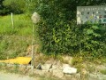 IMG_20260724_090649