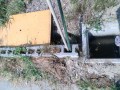 IMG_20260724_090655