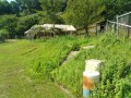 IMG_20260724_090743