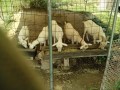 IMG_20260724_091648