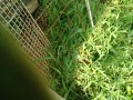 IMG_20260724_091651