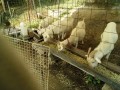 IMG_20260724_091655