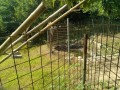 IMG_20260724_091750