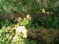 IMG_20260724_091753