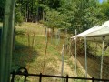 IMG_20260724_091808