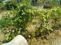 IMG_20260724_112148