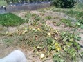 IMG_20260724_112158