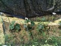 IMG_20260724_112207