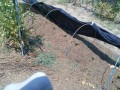 IMG_20260724_112215