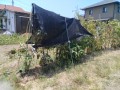 IMG_20260724_114853