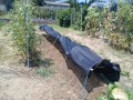 IMG_20260724_114903