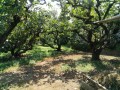 IMG_20260724_144100
