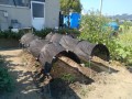 IMG_20260724_144105