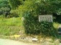 IMG_20260725_101026