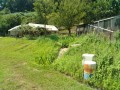 IMG_20260725_101232