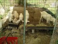 IMG_20260725_101802