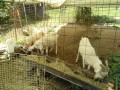 IMG_20260725_101809