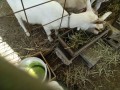 IMG_20260725_101829