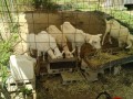IMG_20260725_101843