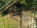 IMG_20260725_101859
