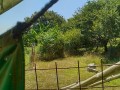 IMG_20260725_101901