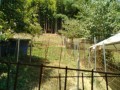 IMG_20260725_101916