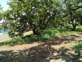 IMG_20260725_111921