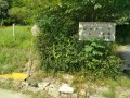 IMG_20260726_085803