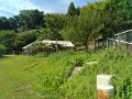 IMG_20260726_085839