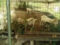 IMG_20260726_090637