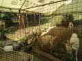 IMG_20260726_090646