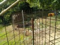 IMG_20260726_090751