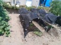 IMG_20260726_112334
