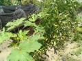 IMG_20260726_112352