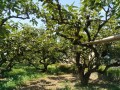 IMG_20260726_112404