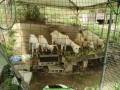 IMG_20260727_091105