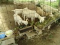 IMG_20260727_091123